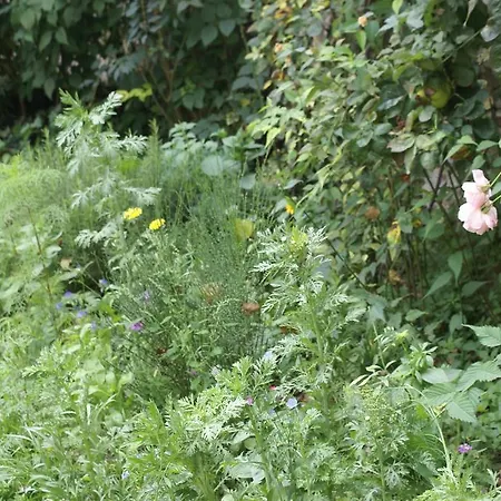Nyaraló La Cour Des Carmes Arras