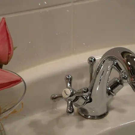 La Cour Des Carmes *